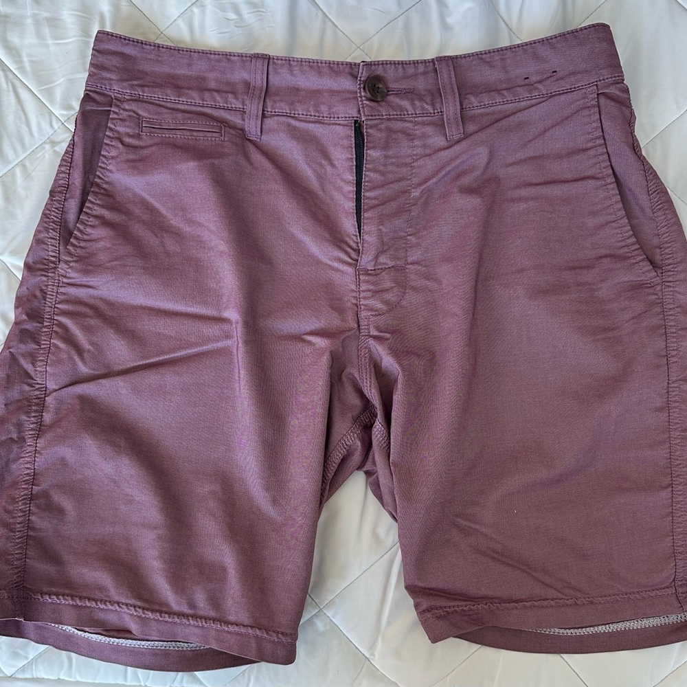 RVCA Men’s Purple Shorts (Size 30)